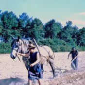 Les chemins de l’émancipation ? Les femmes dans les mondes ruraux en France aux XIXe et XXe siècles.